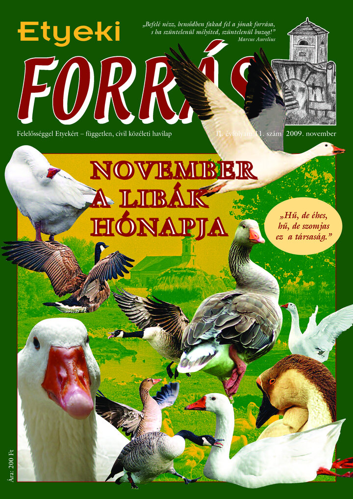 2009/11. lapszám